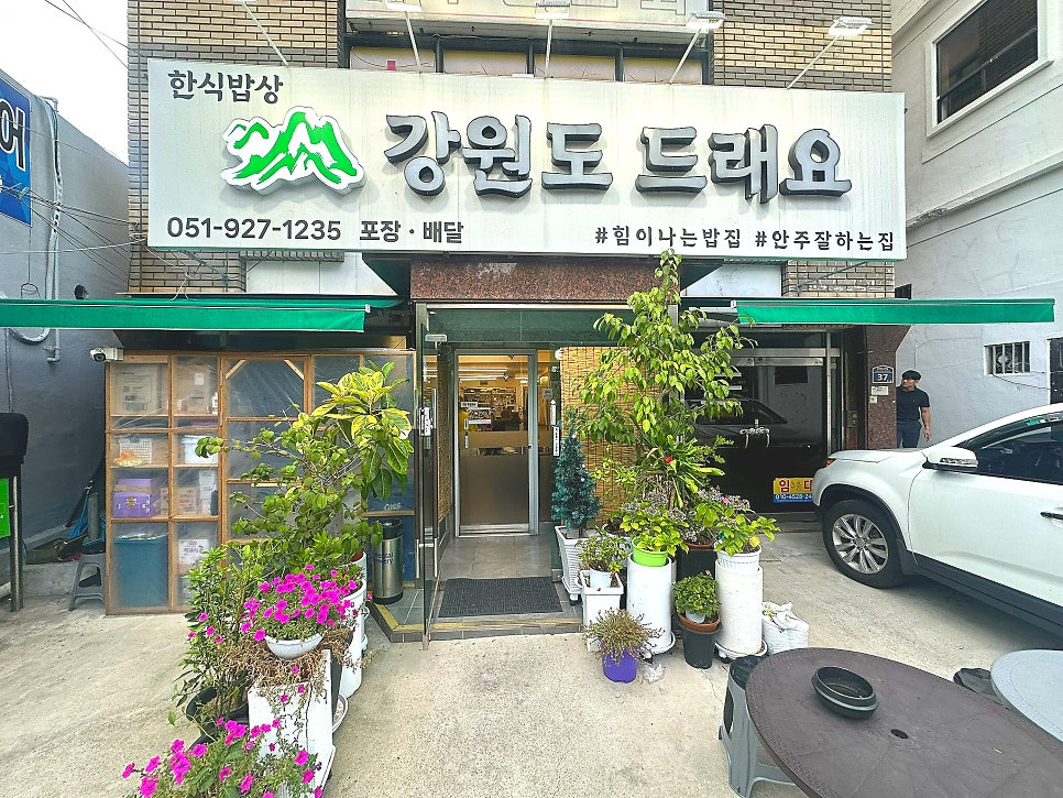 강원도드래요 사진 1