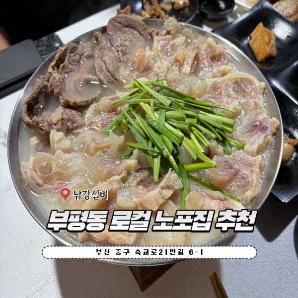 남강실비 사진 1