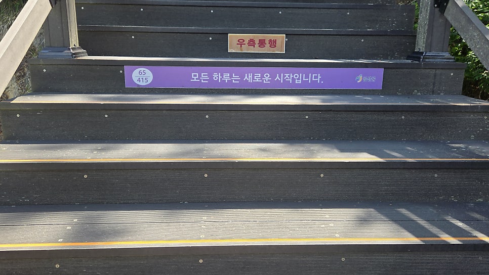 배나무집 사진 5