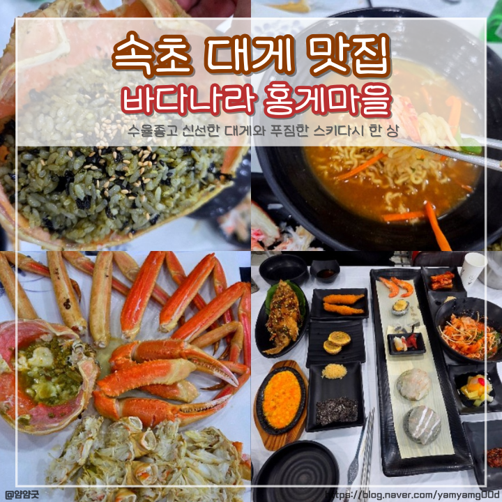 속초 대게 맛집 가격 속초조양동대게집 대게나라 홍게마을