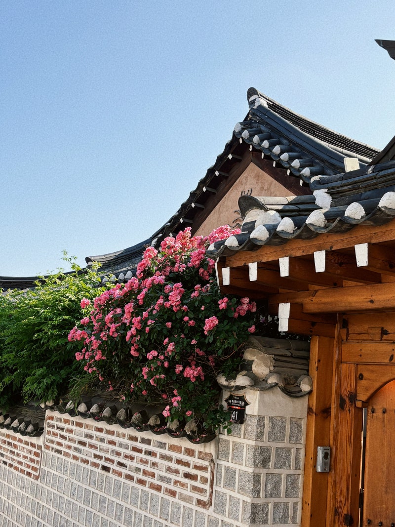 종로 나들이 코스 (삼청동, 북촌 한옥마을, 인사동, 청계천 가볼만한곳)