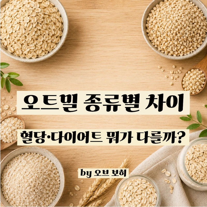 오트밀 종류별 차이 총정리, 혈당 관리엔 뭐가 가장 좋을까?
