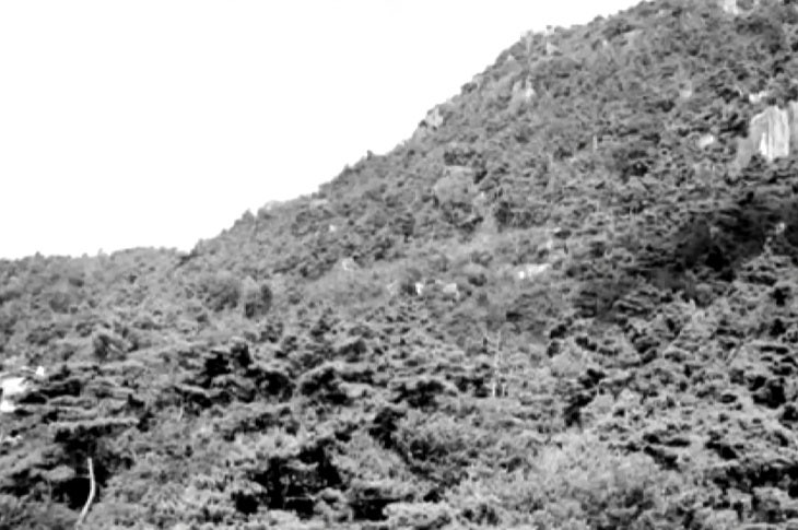 덕산골 사진 3