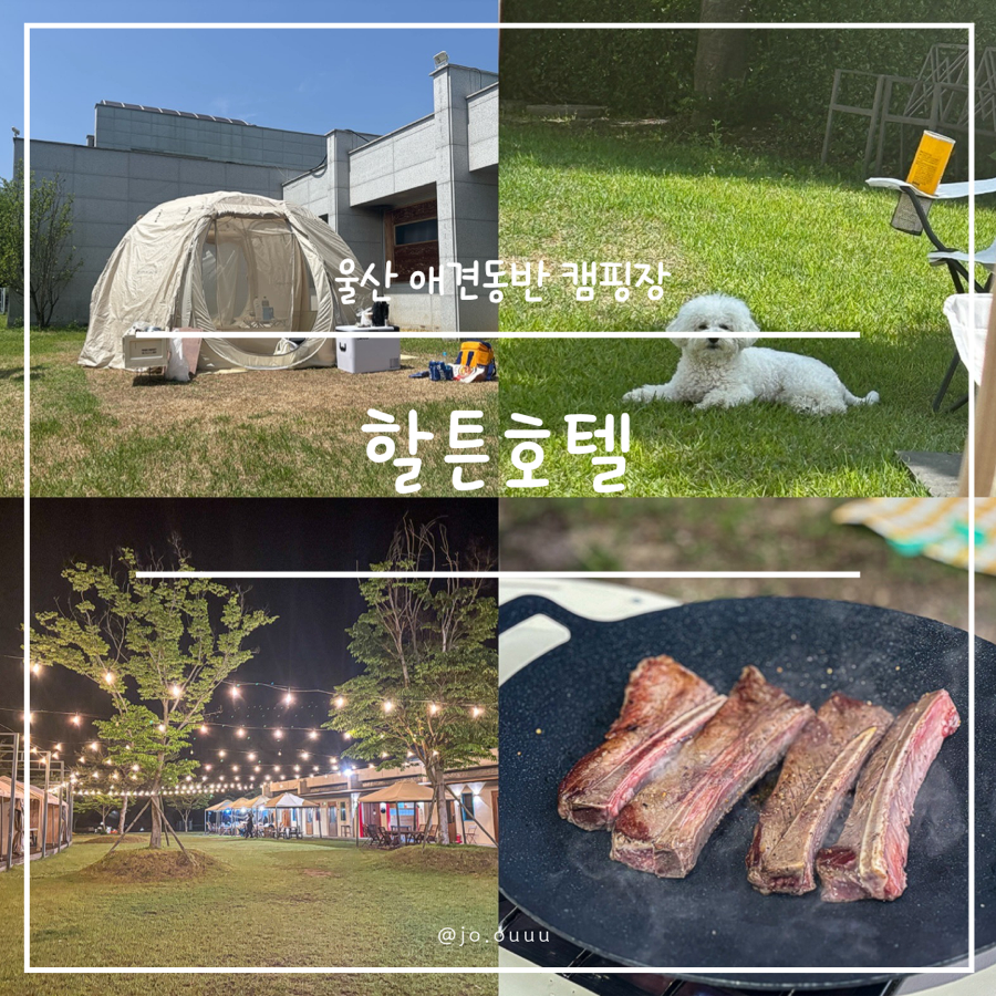 할튼호텔