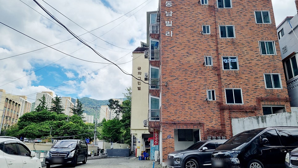 촌칼국수 사진 5