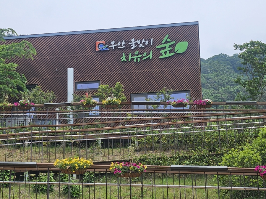 물맞이 치유의 숲 사진 5