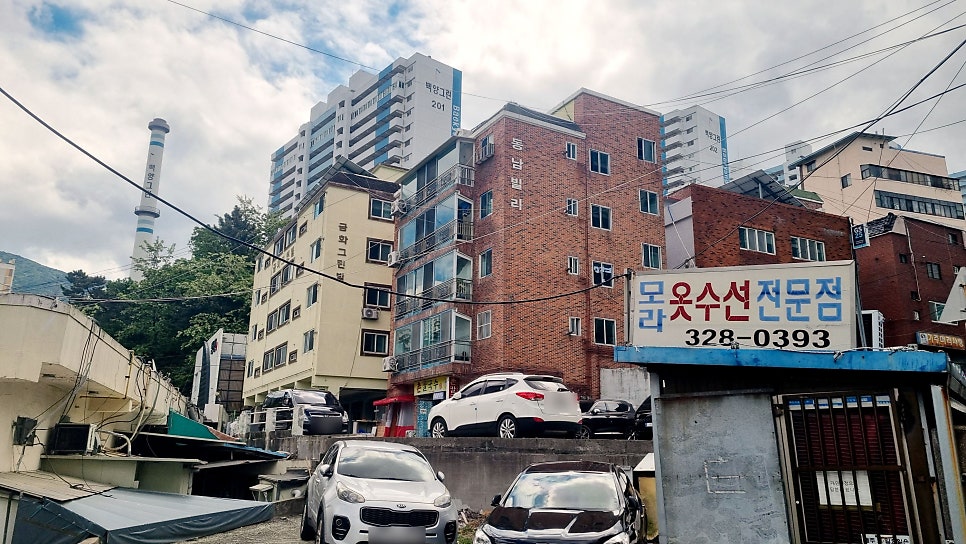 촌칼국수 사진 4
