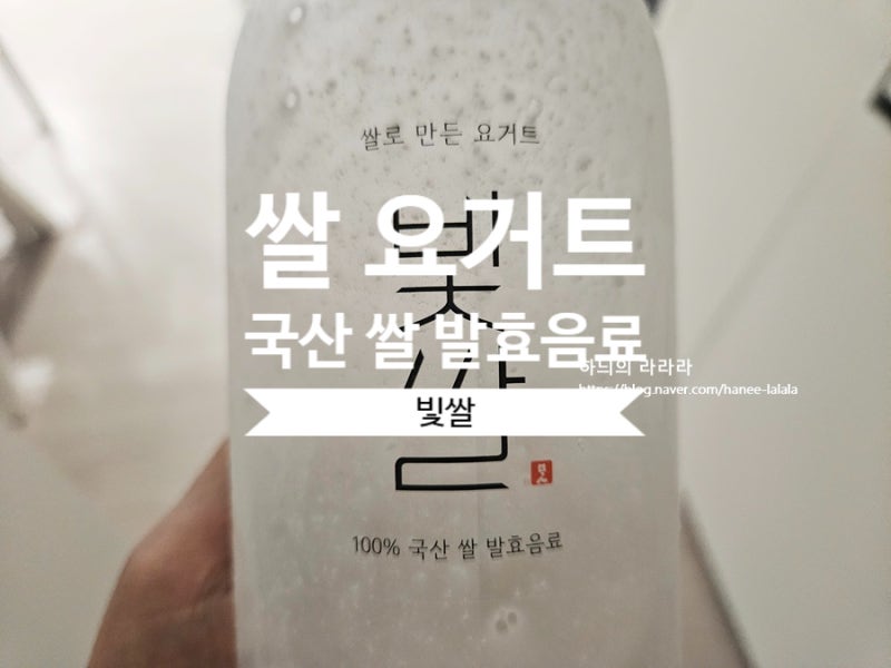 빛쌀 비건 쌀 누룩 요거트 내돈내산 유통기한 보관 아침 대용 직접 먹어보니