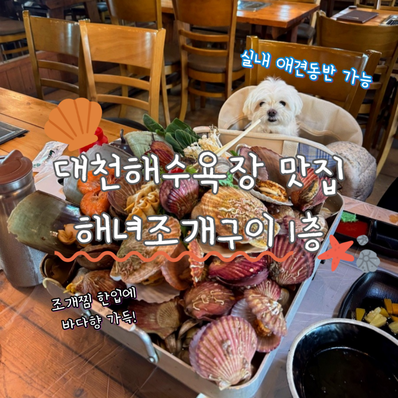 대천해수욕장 맛집 해녀조개구이 실내 애견동반 식당 조개찜 맛집 대천 조개구이 추천 스끼....