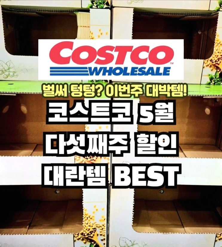 코스트코 5월 다섯째주 할인상품 품절대란 BEST