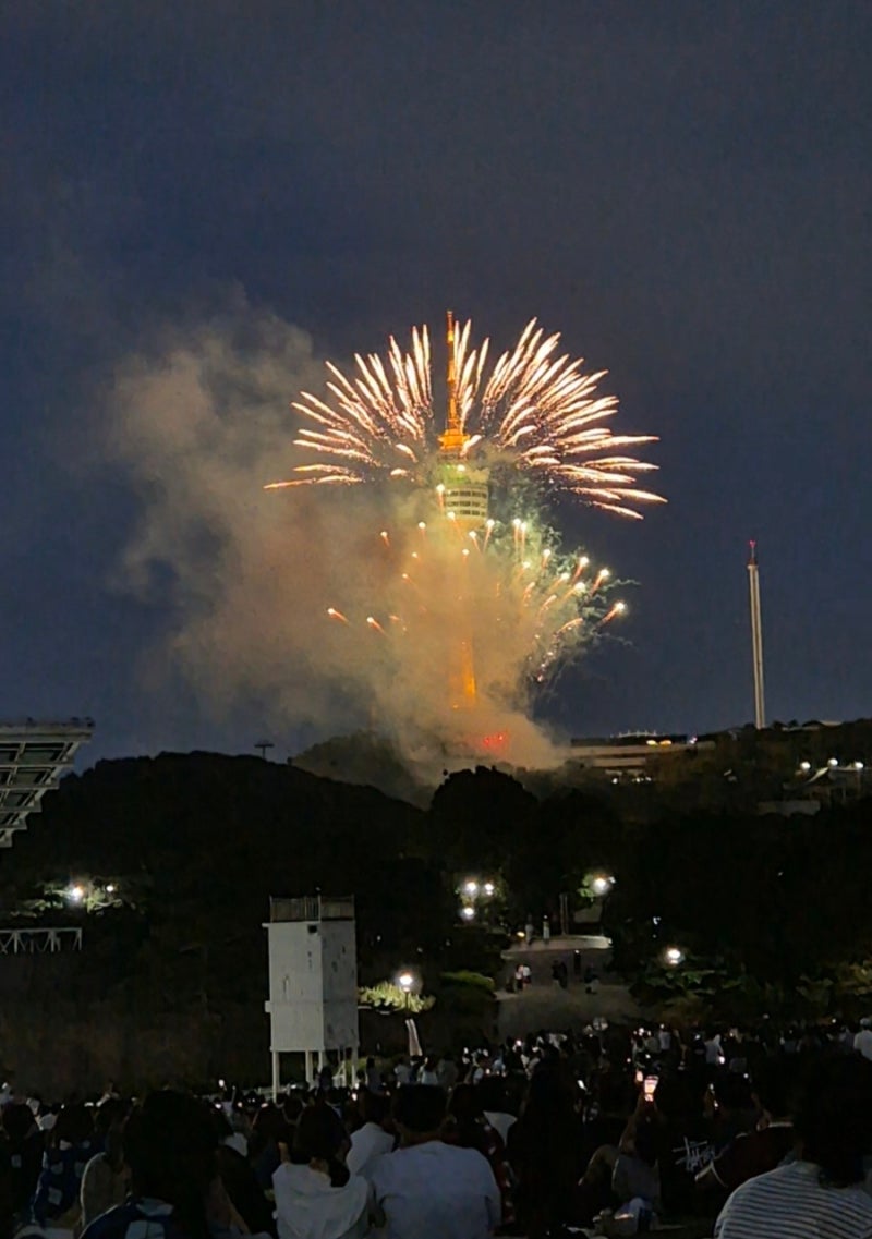 대구 축제 이월드 83타워 불꽃쇼 명당 직관 후기