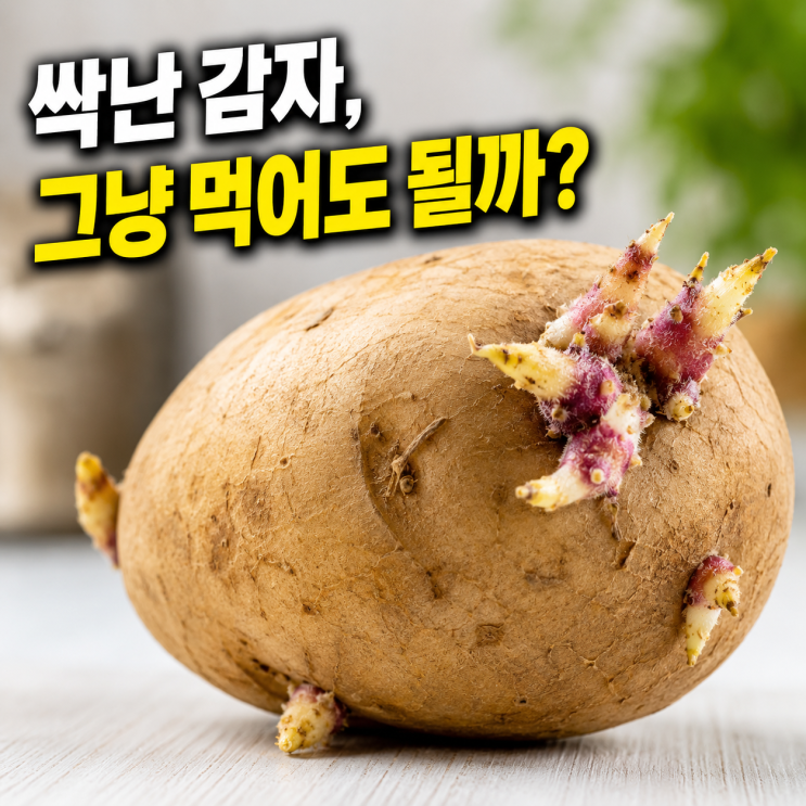  감자효능, 감자 싹나지 않게 보관하는법