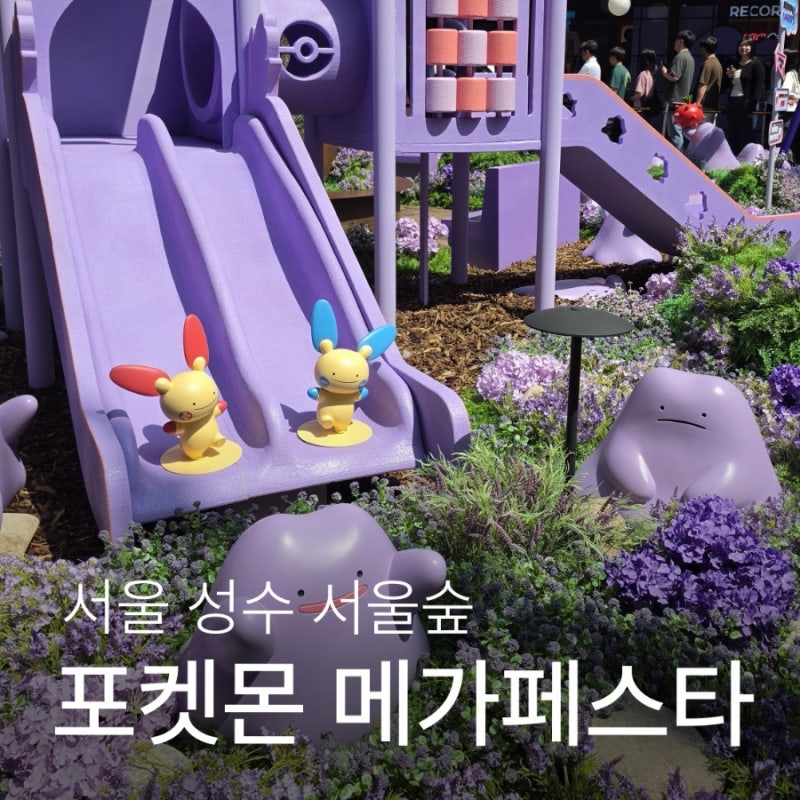 서울 서울숲 성수 시크릿포레스트 메타몽 놀이터 주말 오프런 후기
