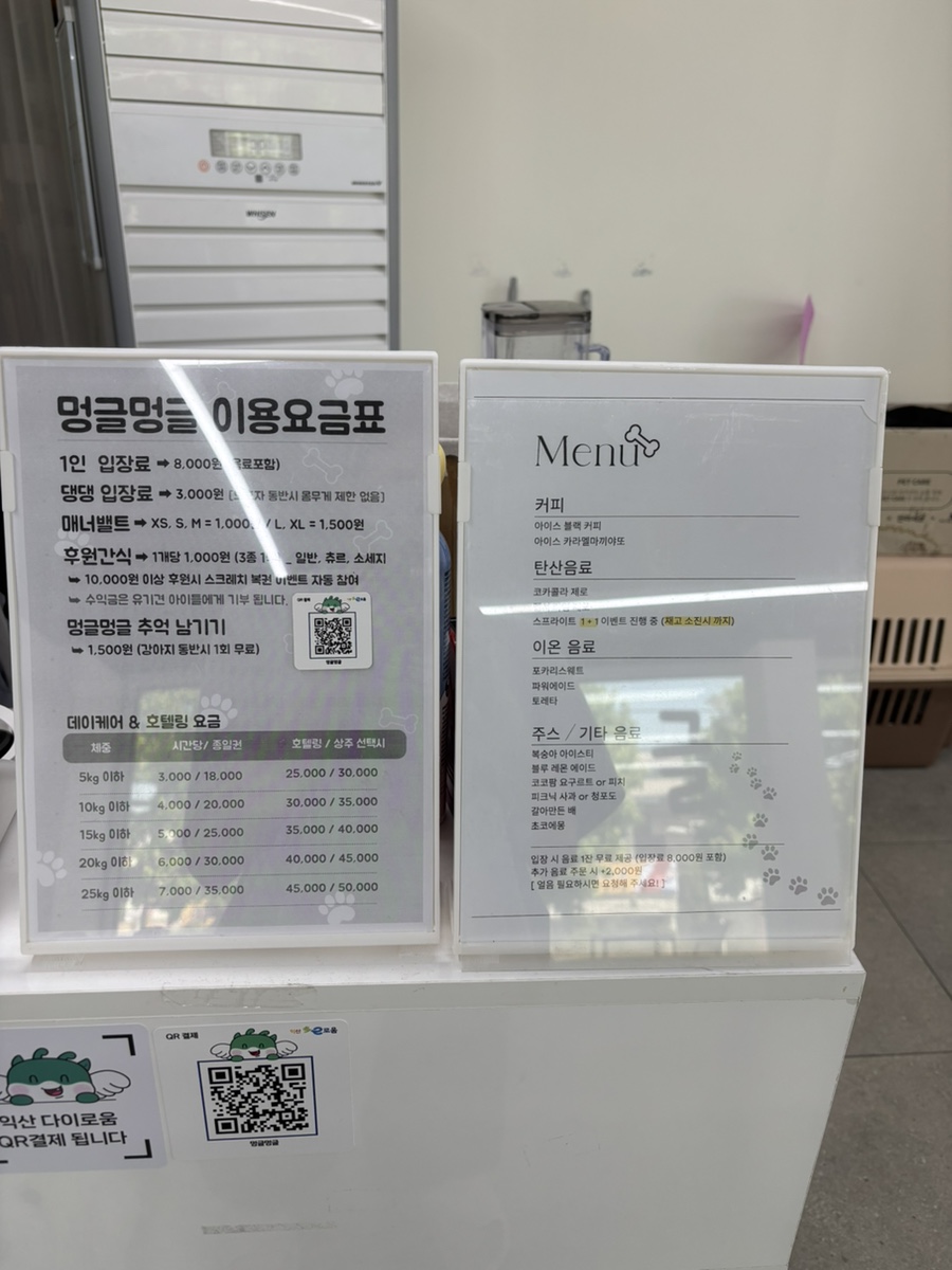 멍글멍글 사진 2