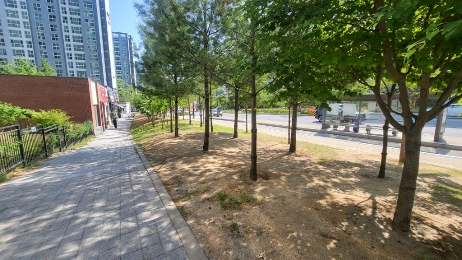 무드바이반 사진 2