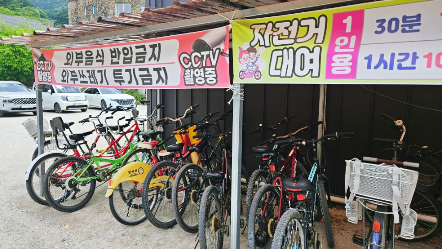 날으는자전거 사진 4