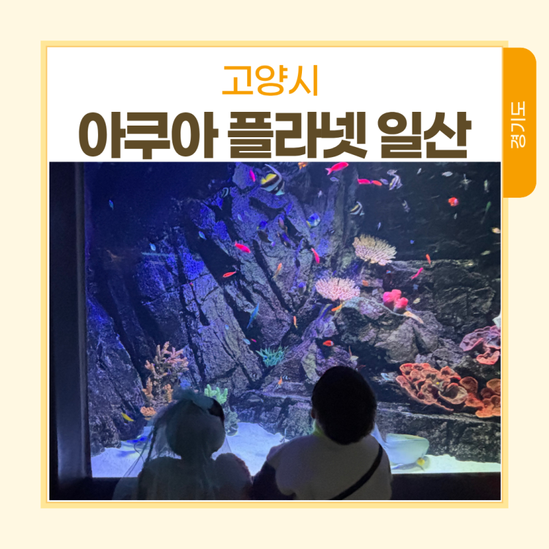 일산 아쿠아플라넷 아기랑 입장료 실내동물원 꿀팁