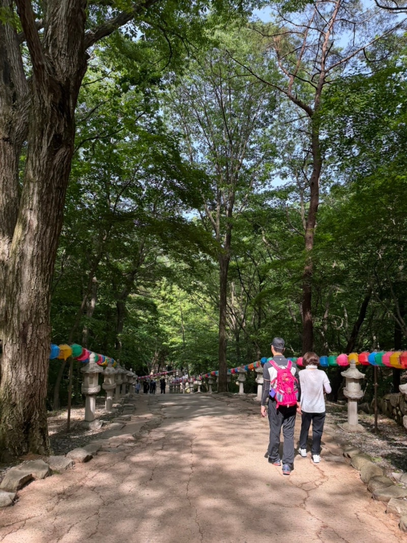 대구 팔공산 갓바위 초보자 등산코스 후기 - 경산방향