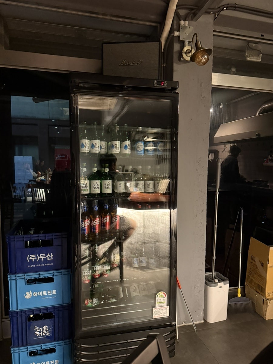혹등고래 사진 6
