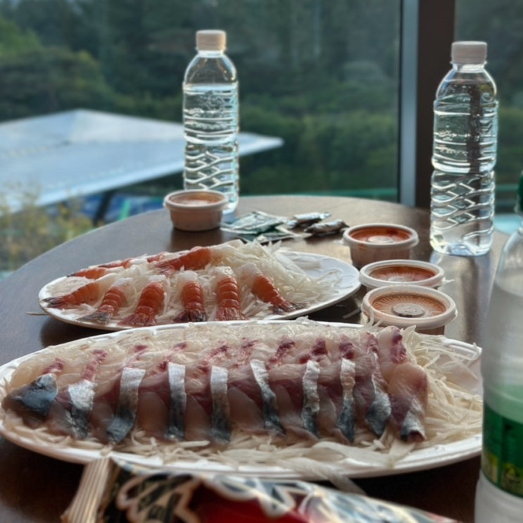  제주도여행 제주동문시장 동문올레수산 동문시장 본점 고등어 돌광어 참돔 모듬회 딱새우회 포장 리뷰.
