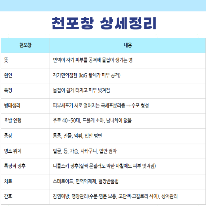 천포창 뜻 특징 원인 증상 니콜스키징후 치료 치료제 스테로이드 면역억제제 혈장반출법 항....