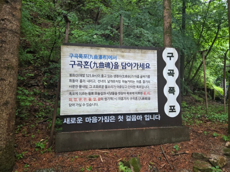  춘천 구곡폭포 입장료/ 주차비