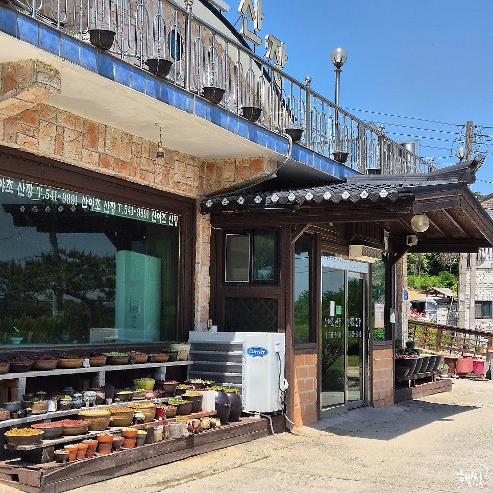 산야초산장 사진 3