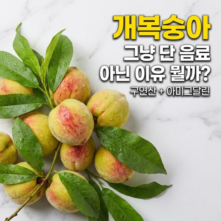  개복숭아 효소, 여름 전에 챙겨야 하는 이유 있었어요