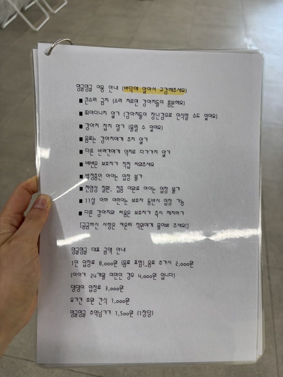 멍글멍글 사진 3