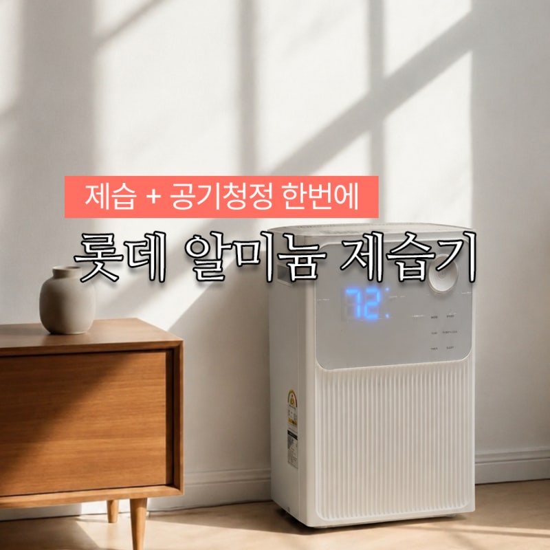 롯데 알미늄 제습기 LDH-7012 20L 후기 | 장마철 빨래건조 추천