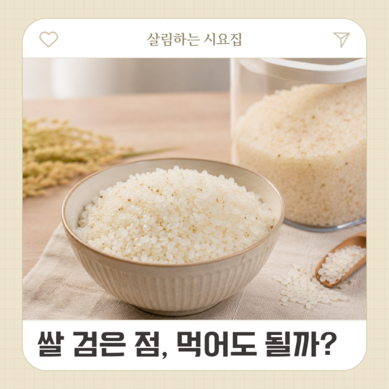 쌀에 생긴 검은 점, 씻어 먹어도 될까? (안전한 쌀 구분법)