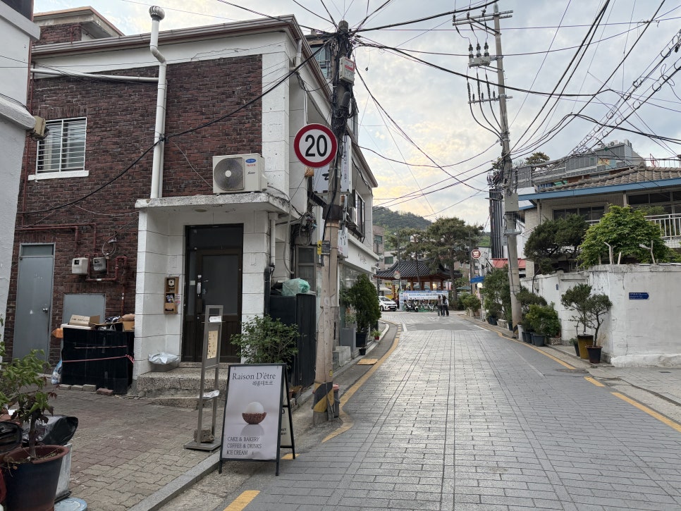개화 플로이죵 사진 1