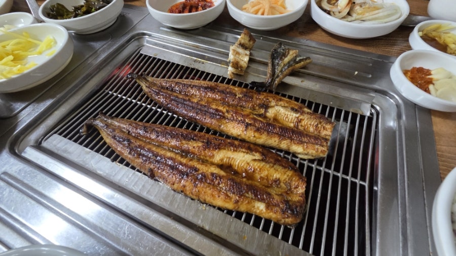 만궁민물장어 사진 4