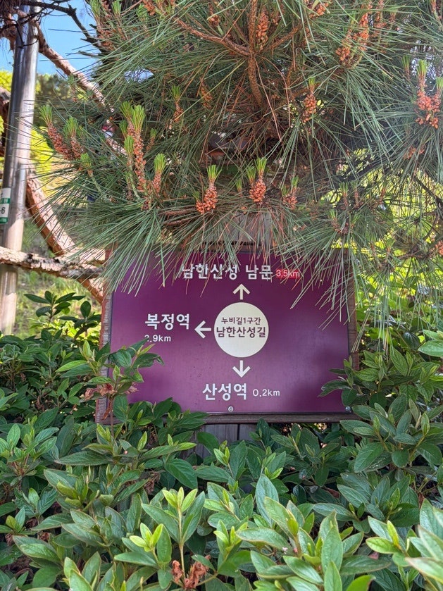 산성별장 사진 4
