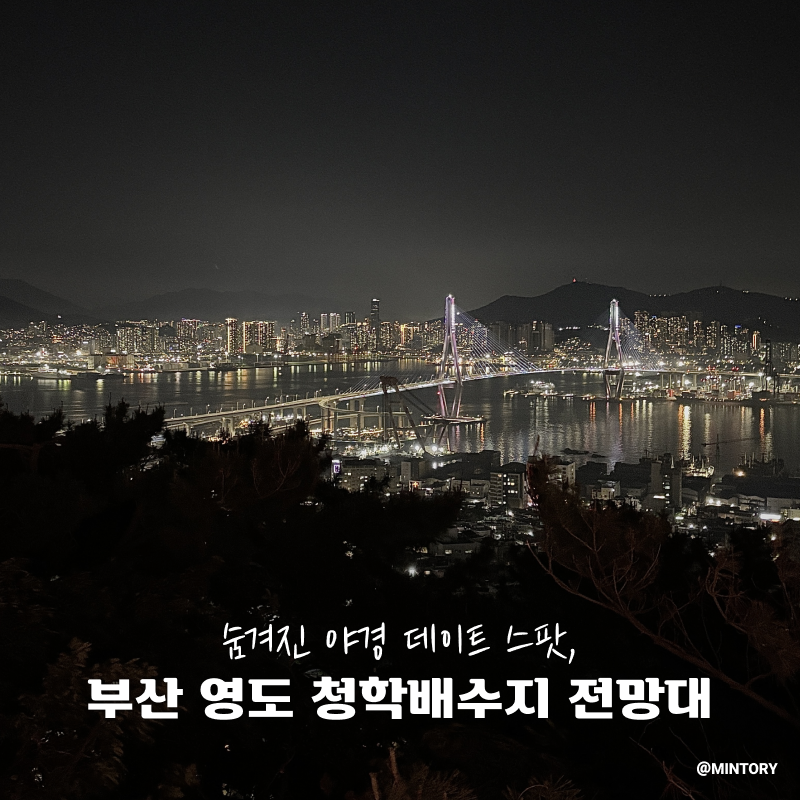 숨겨진 데이트 코스, 부산 야경 명소 영도 청학배수지 전망대 추천