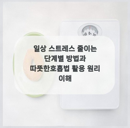  일상 스트레스 줄이는 단계별 방법과 따뜻한호흡법 활용 원리 이해