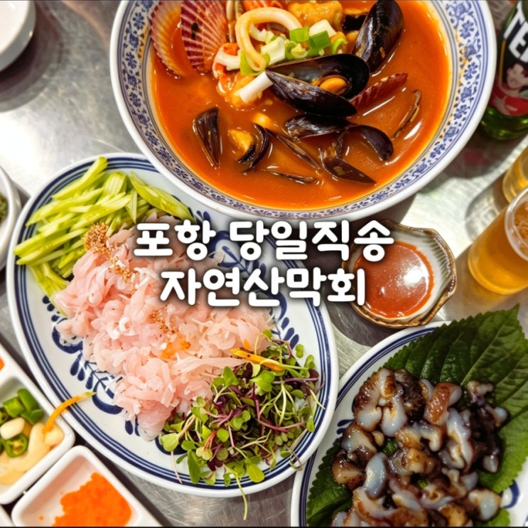  분당 횟집 저녁 포항막회 정자본점 자연산 막회 왜 인기인지 알겠던 곳