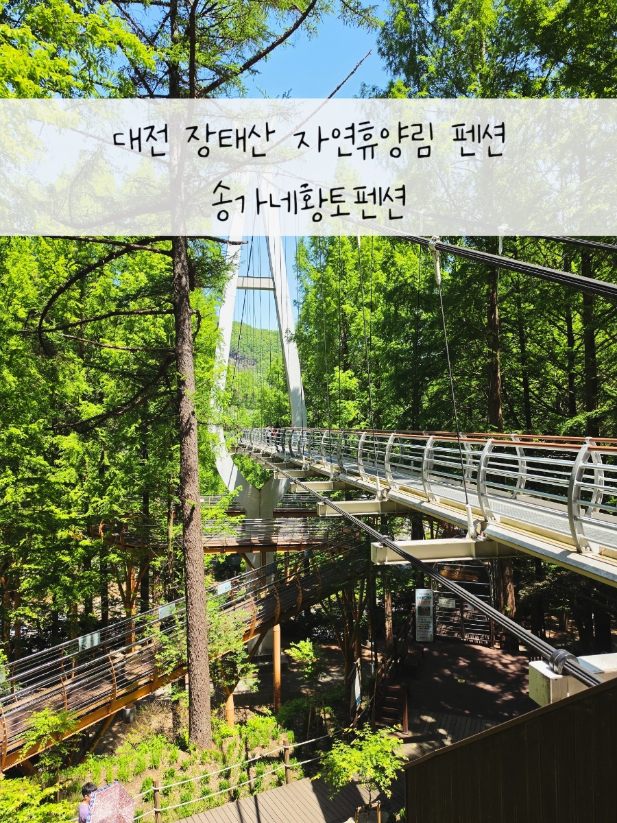 송가네황토펜션 사진 1