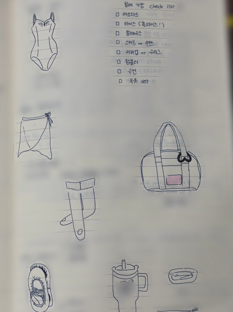발레용품 정리/발레복 입문템 추천/레오파드 아니고 레오타드!