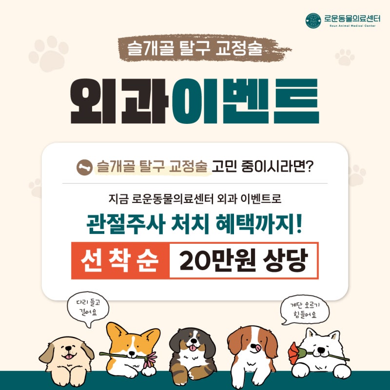 양천구동물병원 슬개골 탈구 교정술 외과 EVENT!