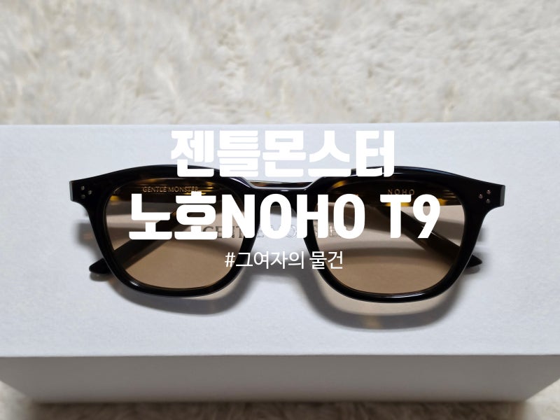  젠틀몬스터 노호 T9 브라운 틴트 선글라스 후기