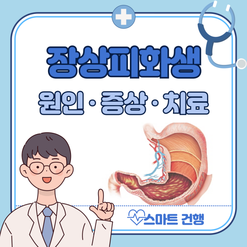 장상피화생 증상, 원인, 치료법, 음식, 완치 : 위암 확률