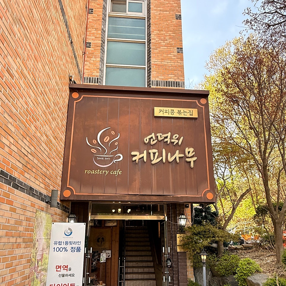 커피나무 사진 6