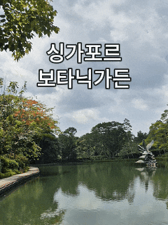  싱가포르 보타닉가든 완벽 가이드｜버스 가는법·탕린게이트·스완레이크 후기 (유네스코 필수코스)