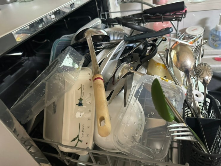  삼성 6인용 식기세척기 DW30FB300CW0 장단점 부모님선물 효도템 5개월 실사용 후기