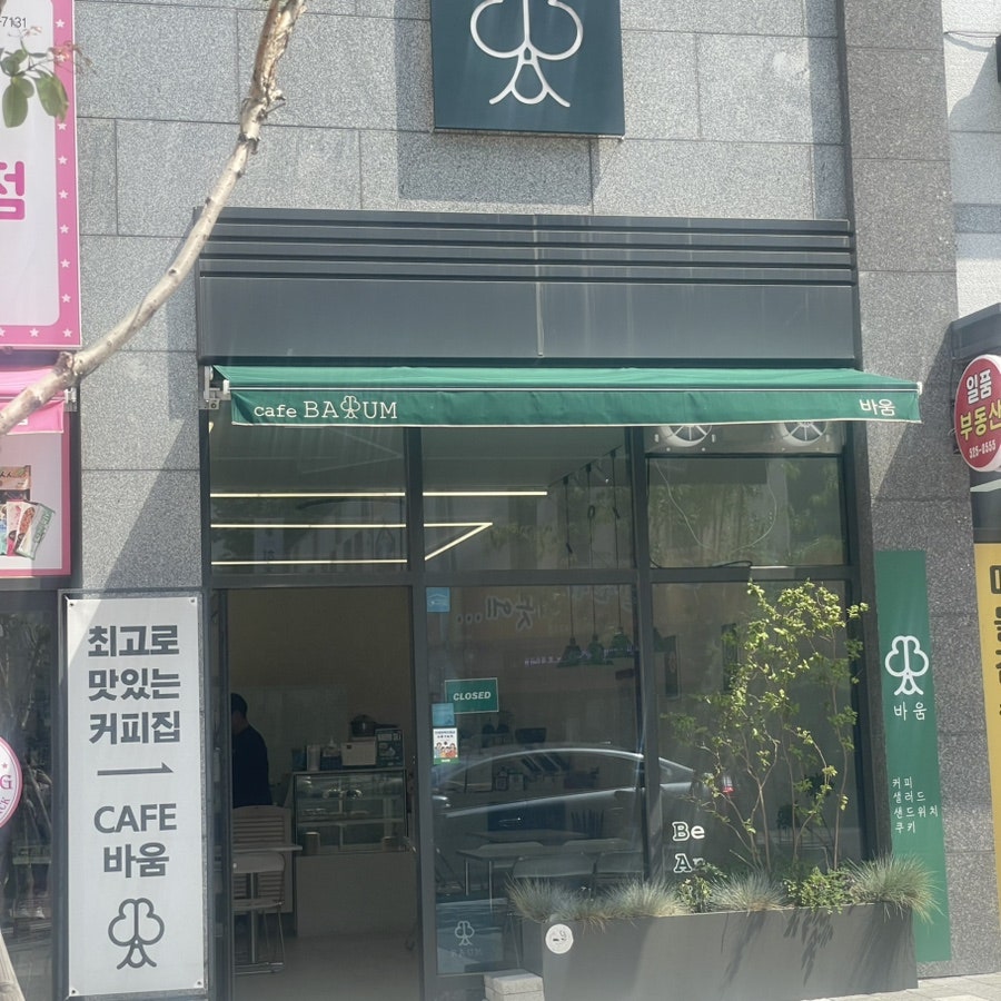 바움 사진 4