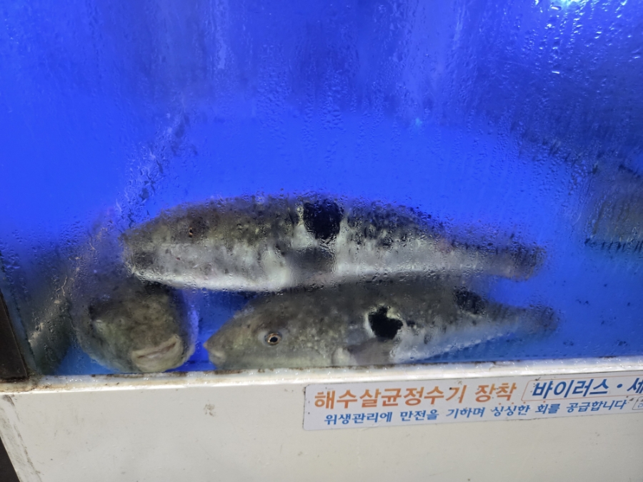 형제복집 사진 4