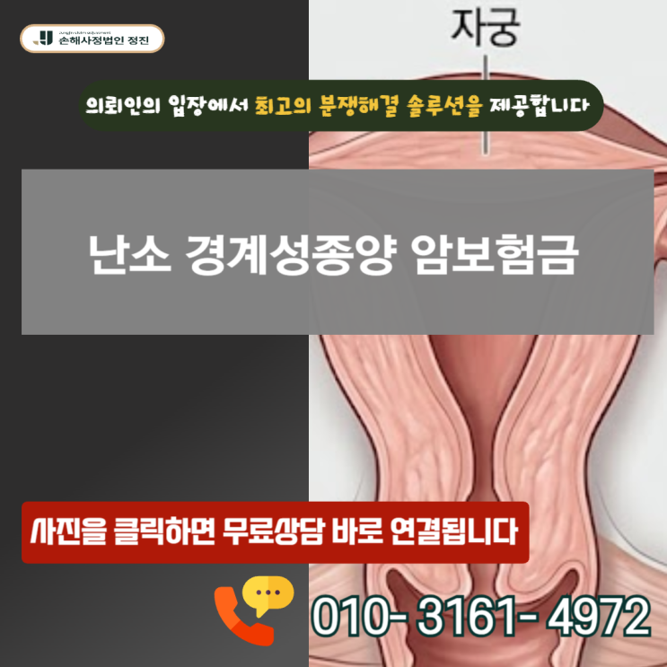  난소 경계성종양 암보험금, D39.1 코드가 소액암이라고요? 전액 받아낸 실전 보상 비책