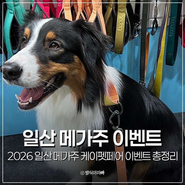2026 일산 펫페어 킨텍스 메가주 케이펫페어 이벤트 총정리