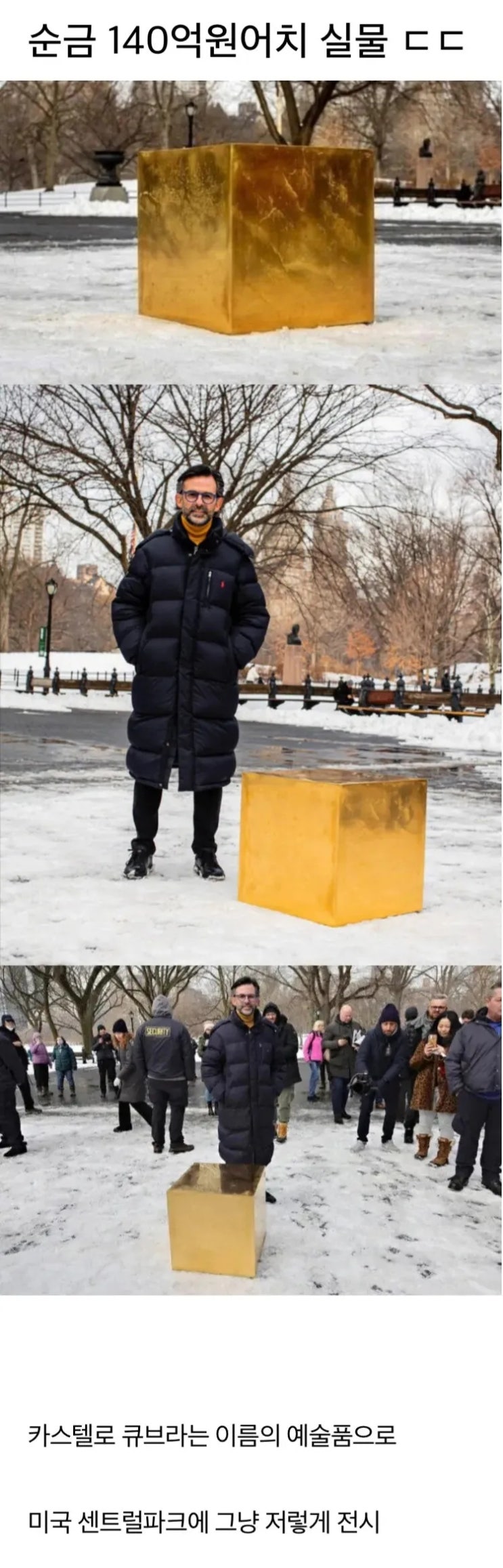  순금 140억원 어치 실물.jpg